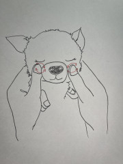 IMG_8459.jpeg