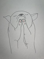 IMG_8460.jpeg