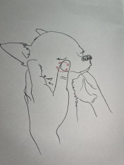 IMG_8461.jpeg