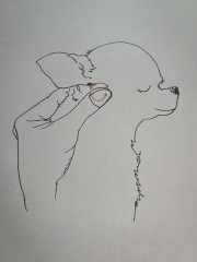 IMG_8462.jpeg