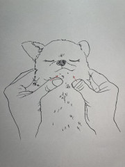 IMG_8464.jpeg