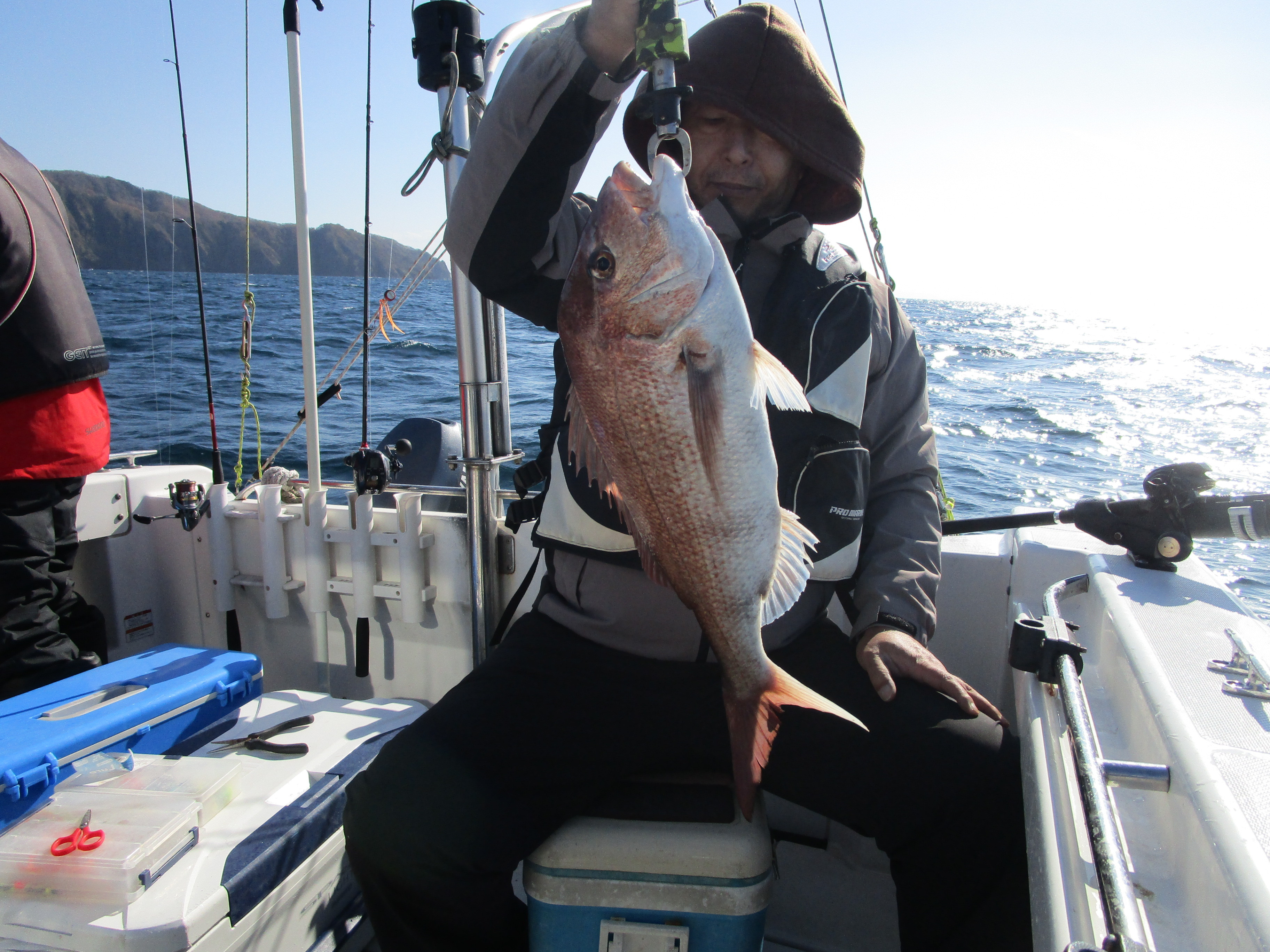 真鯛釣り