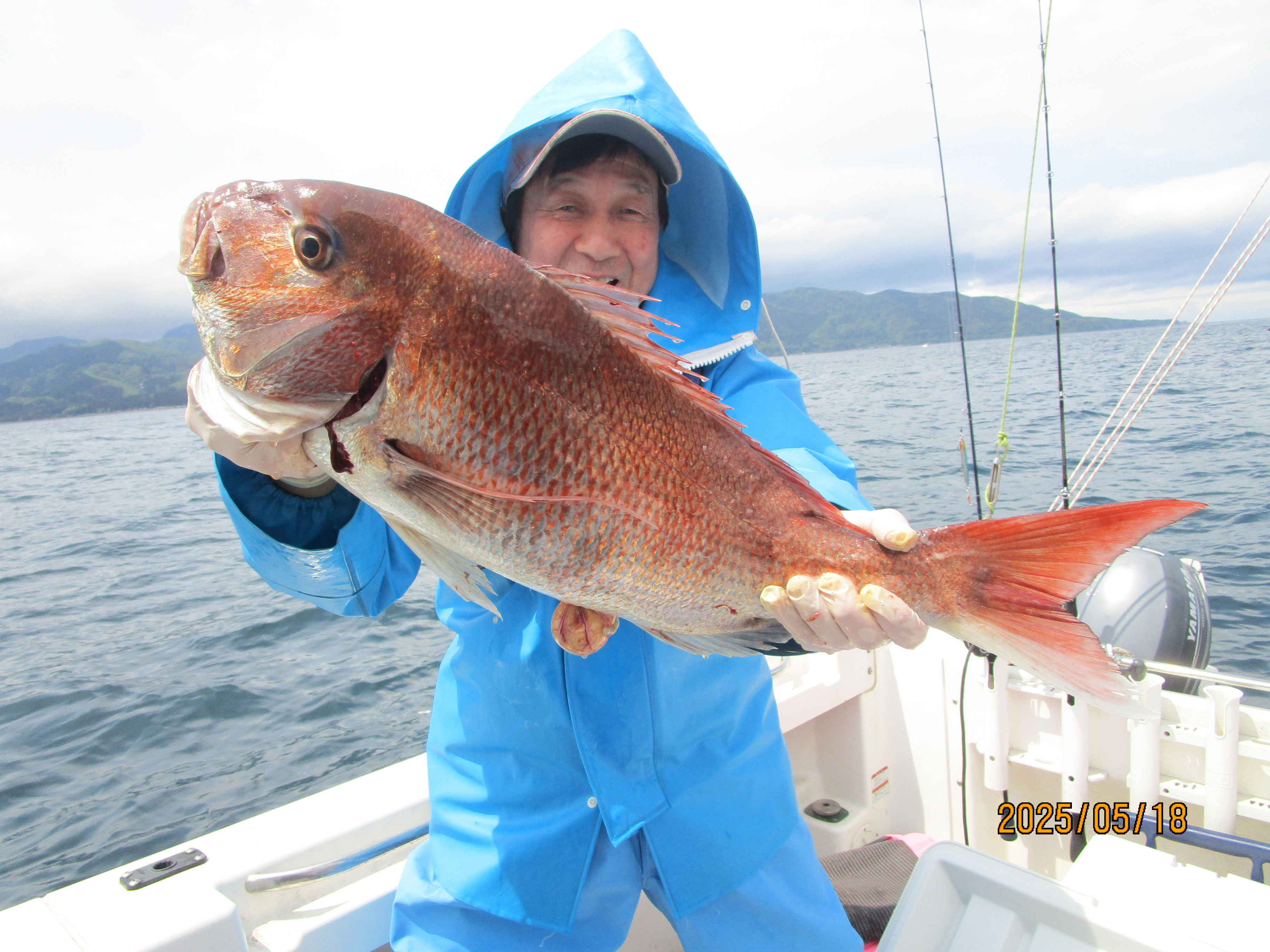 真鯛釣り