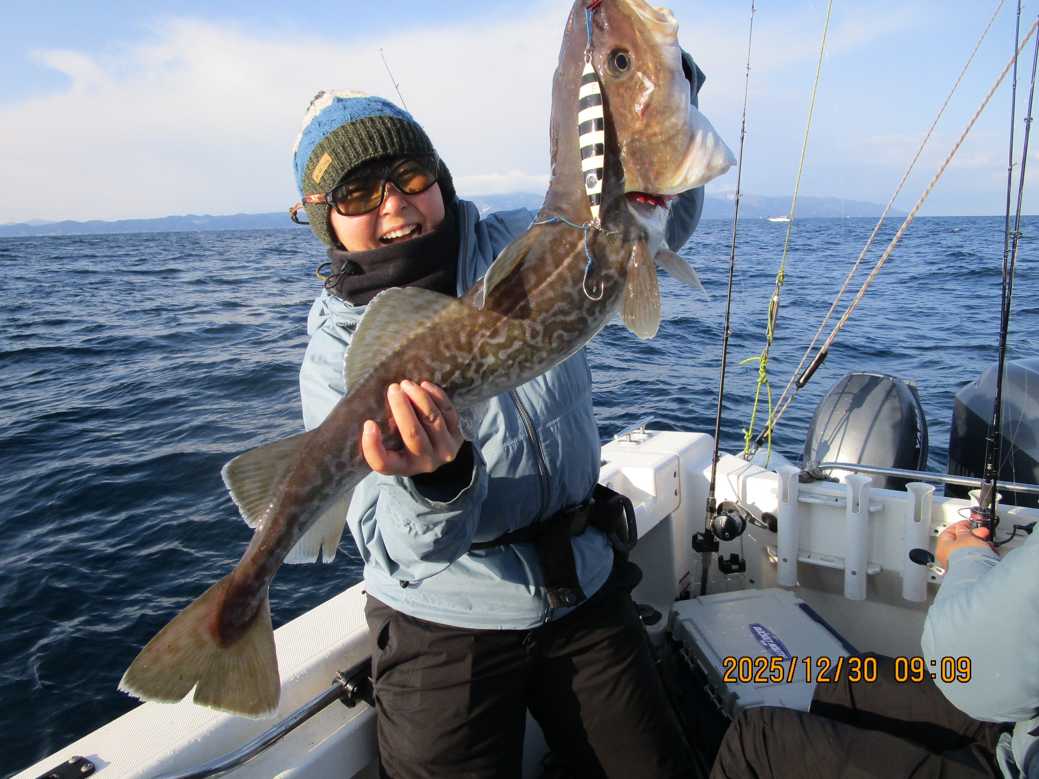 真鱈・根魚釣り