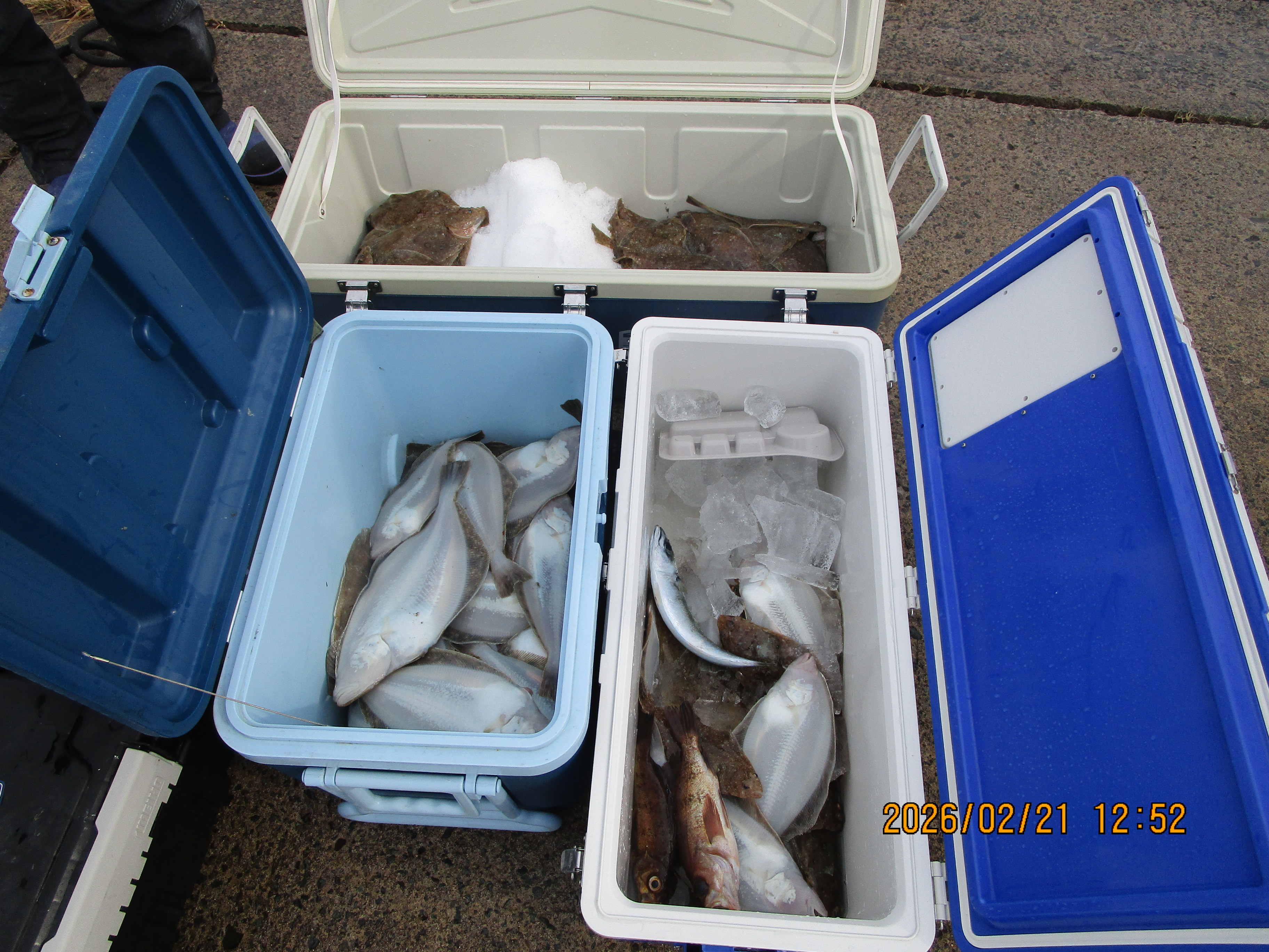 ミズクサカレイ釣り