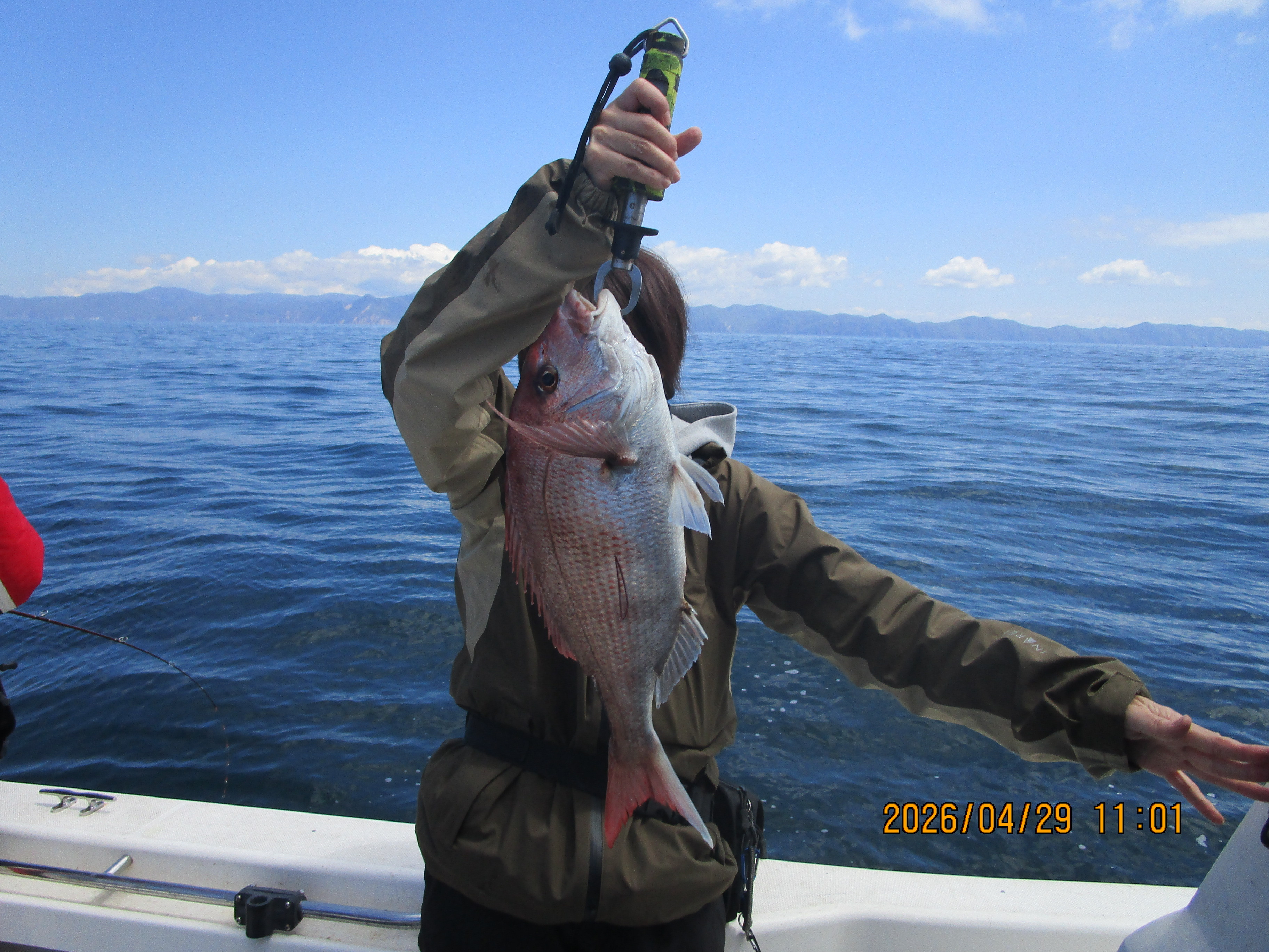 真鯛釣り
