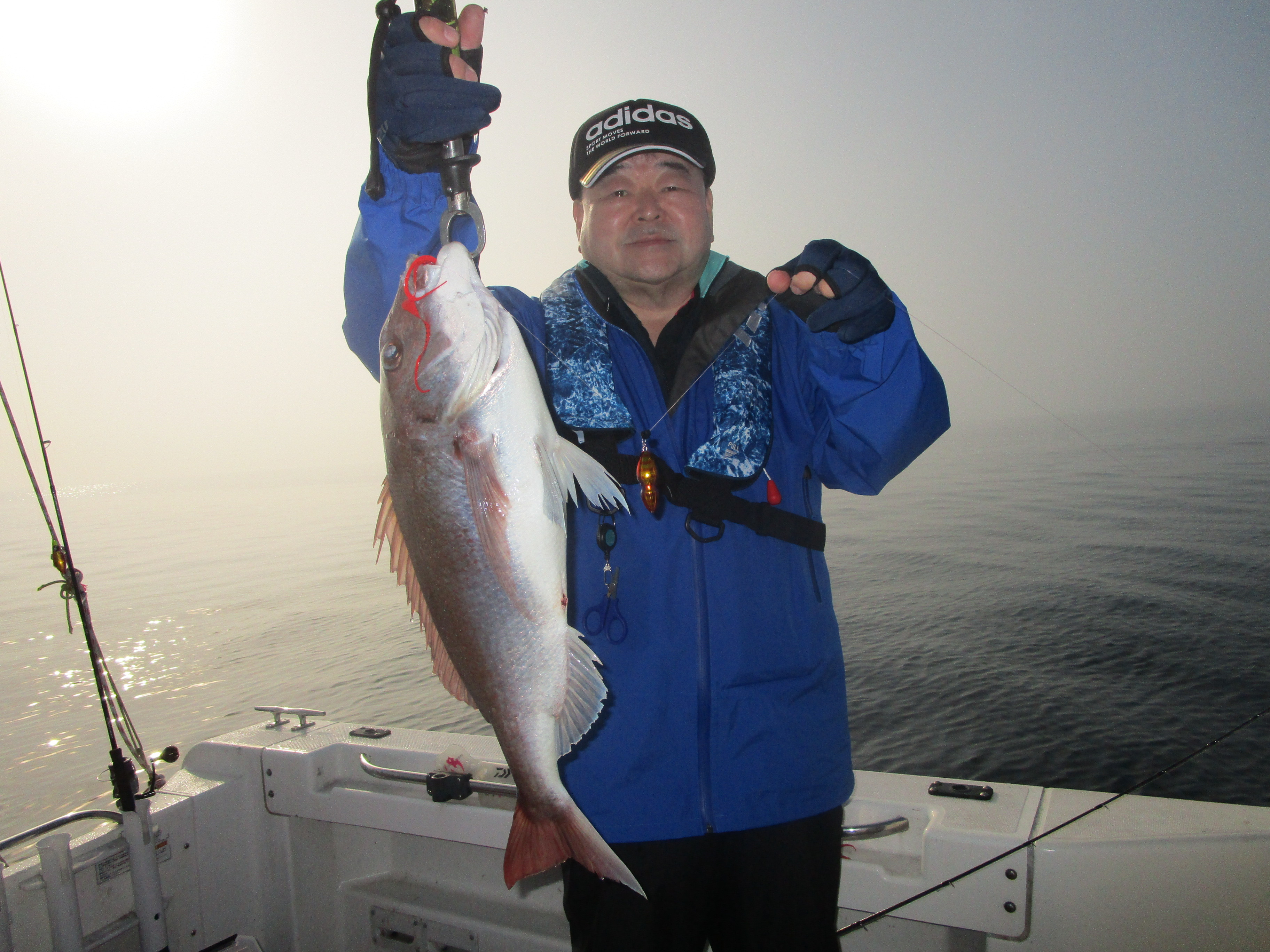 真鯛釣り