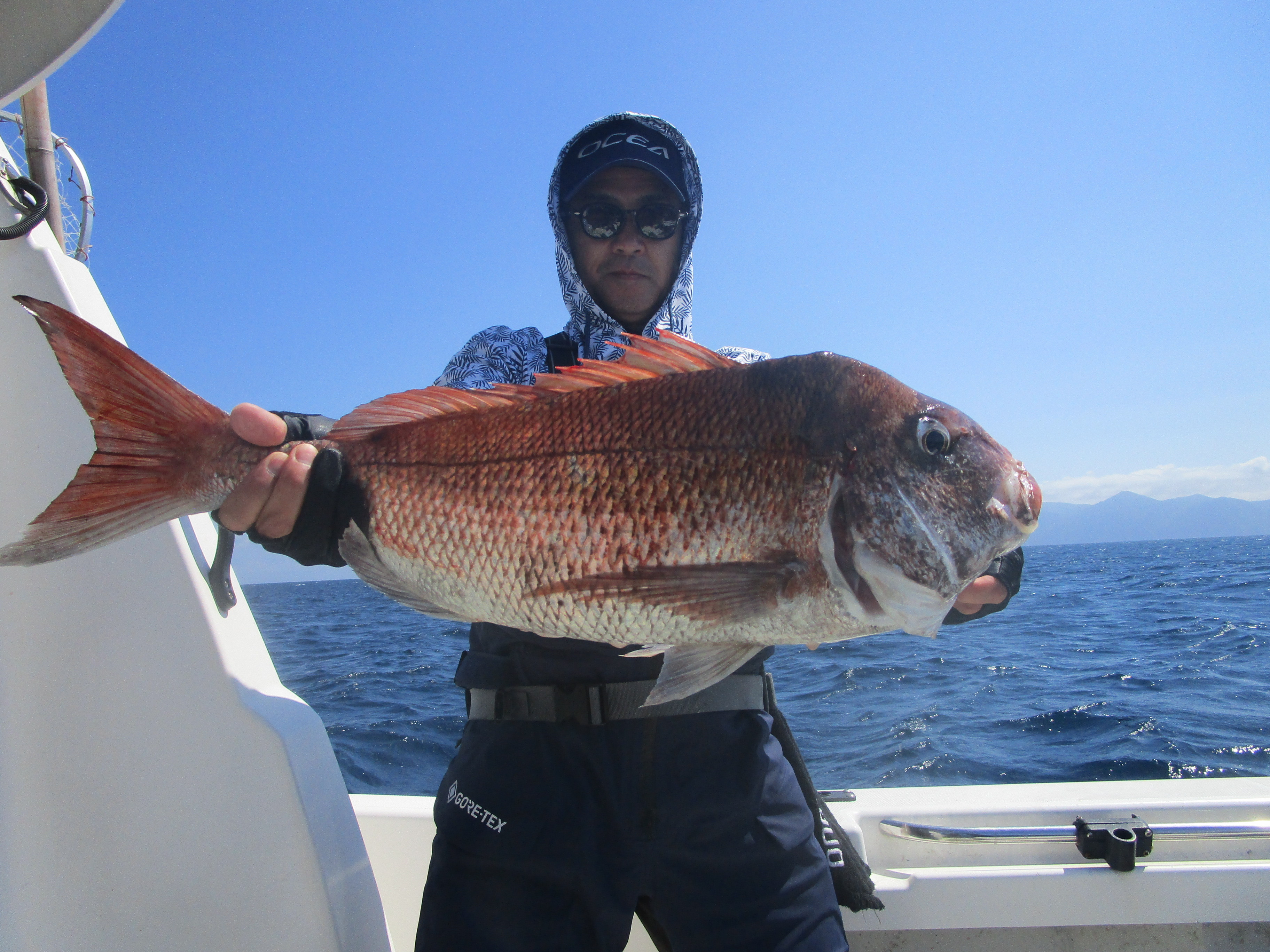 真鯛釣り
