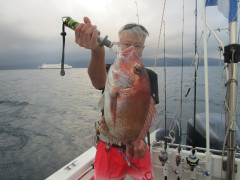 真鯛・五目釣り