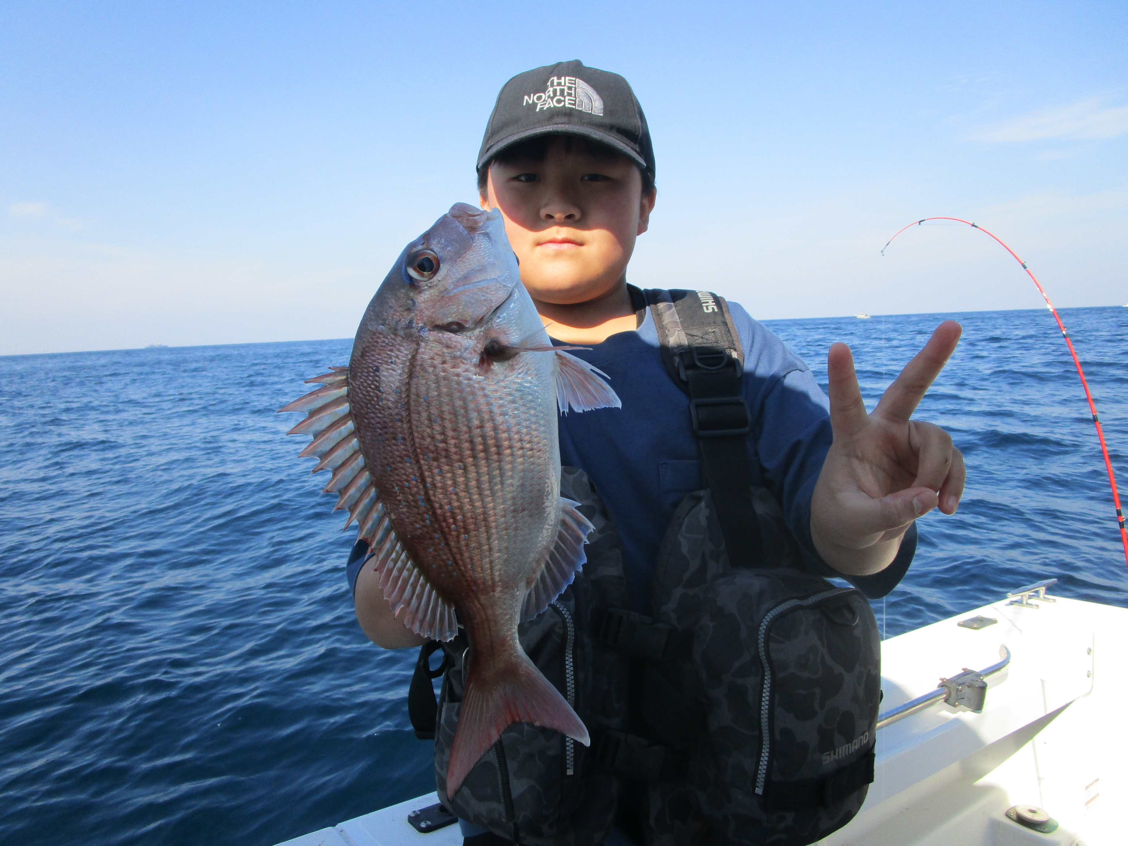 真鯛釣り