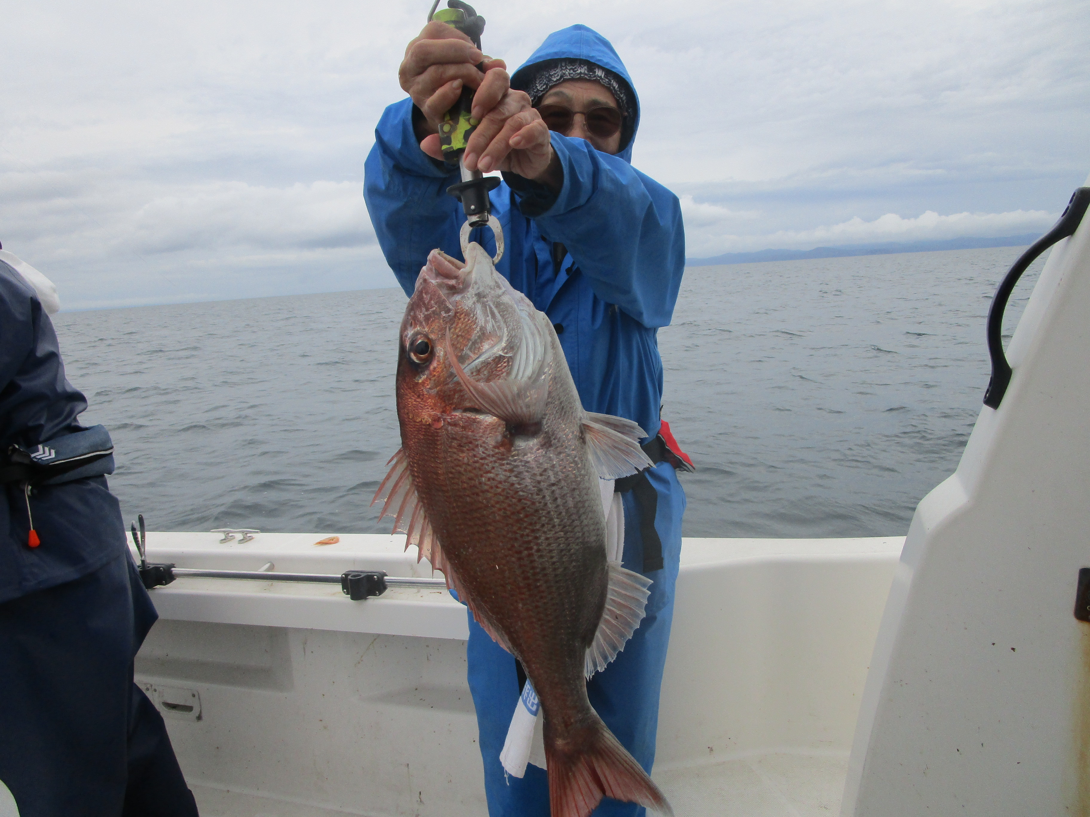 真鯛釣り