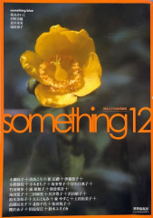 something 12