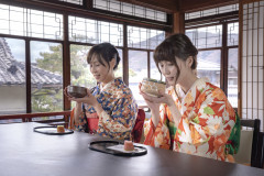 日本の文化を体験 茶道体験のご予約の写真