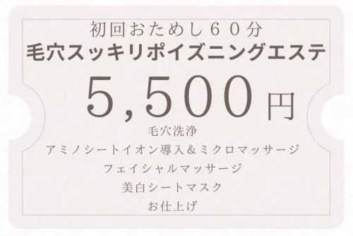毛穴スッキリポイズニングエステ