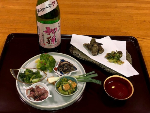20250331hatsumago.jpg