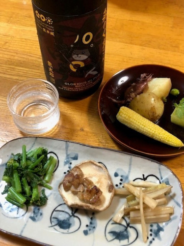 20250517morikuma.jpg