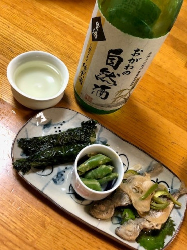 20250621shizenshu.jpg