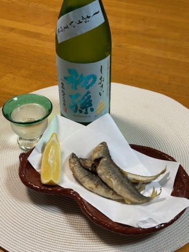 202606sshiosai.jpg