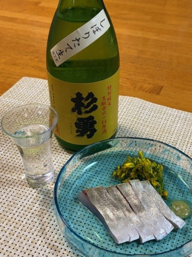 202604sugiisami14.jpg