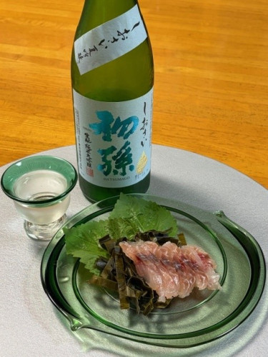 しおさい追加1.jpg