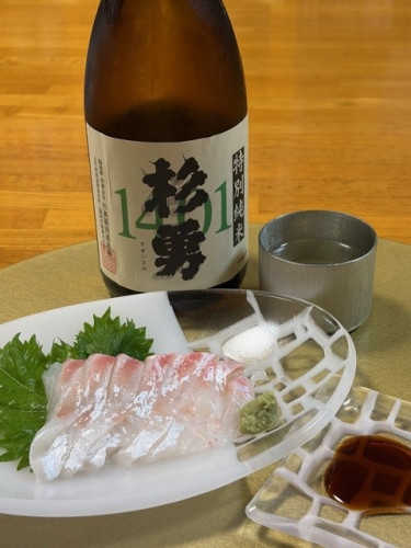 202607杉勇1401c.jpg