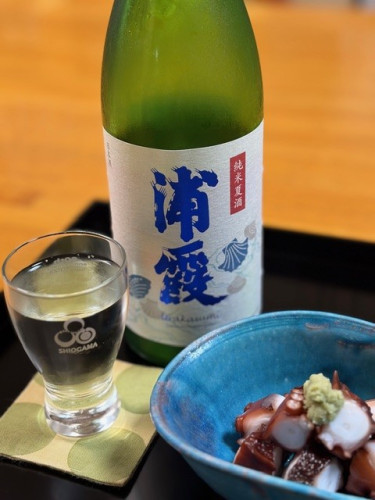 浦霞夏酒１.jpg