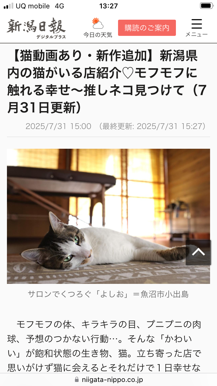 よしおが「新潟日報デジタル」に掲載されました！！