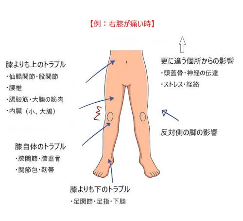 右膝キャンバ.png