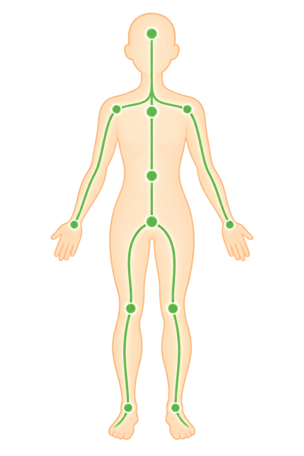 身体全体のつながりのイメージ