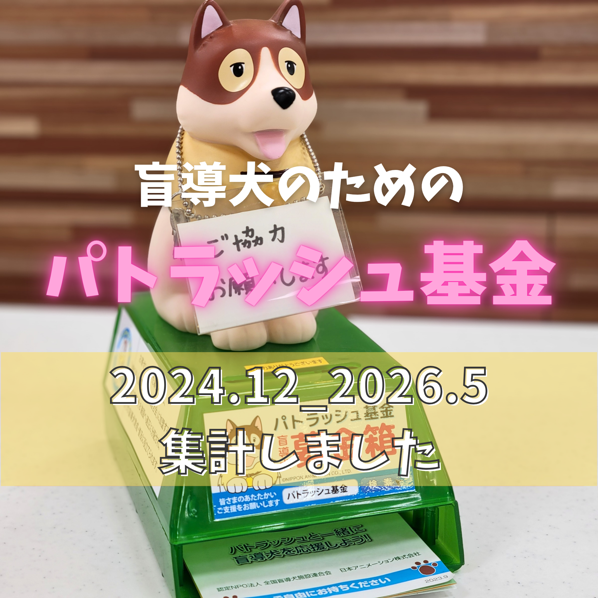 盲導犬のためのパトラッシュ基金集計しました🐶
