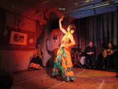 アルコイリスライブ2019