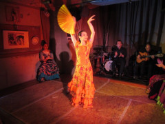 アルコイリスライブ2019