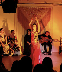 クリスマスライブ2025