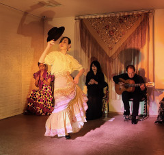 クリスマスライブ2025