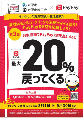 PayPay第三弾.jpg