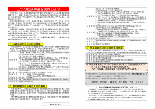 ２－新型コロナ感染症に係る経済対策（第２弾）パンフレット.jpg