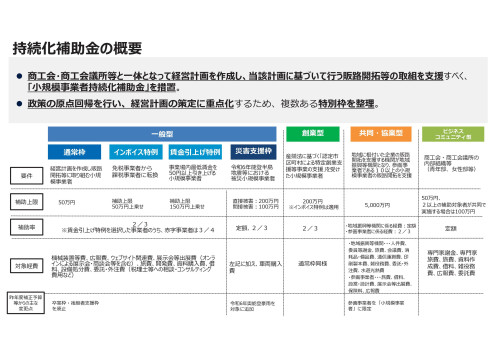 持続化補助金の概要.jpg