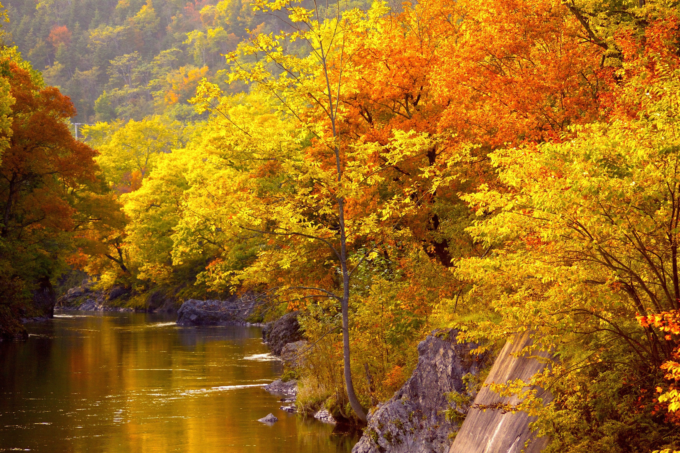 美しく彩られた秋の「錦仙峡」
