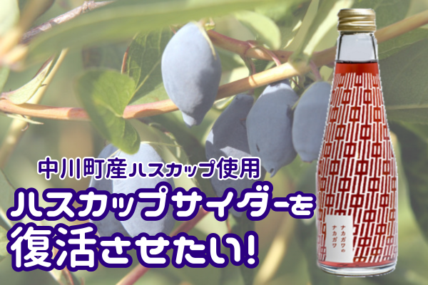 【会員情報】中川町の特産品「ハスカップサイダー」を復活させたい！クラウドファンディングのお知らせ