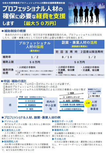 プロフェッショナル人材の確保に必要な経費を支援しますチラシ(オモテ面).jpg