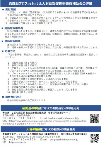 プロフェッショナル人材の確保に必要な経費を支援しますチラシ(ウラ面).jpg