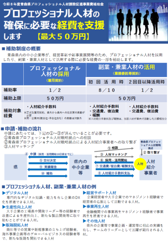 プロフェッショナル人材補助金.png
