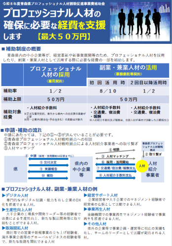 プロ人材補助金.png