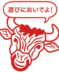 赤牛2.jpg