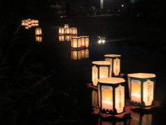 IMG_9754.JPG