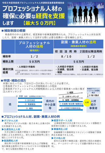 県プロフェッショナル人材誘致促進事業費補助金について