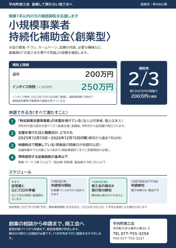 持続化補助金_創業型_1ページ.jpg
