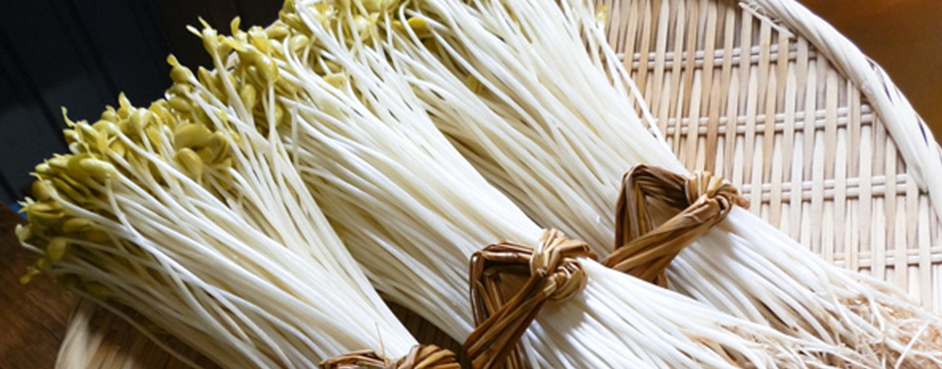 <b>伝統野菜「大鰐温泉もやし」</b>　独特の芳香とシャキシャキとした歯触りが特徴のもやし　<font size="1">※観光協会引用