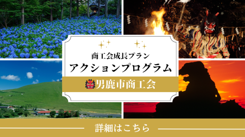 アクションプログラム.png