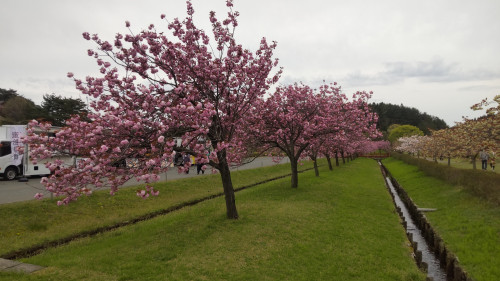 DSC_3943.JPG